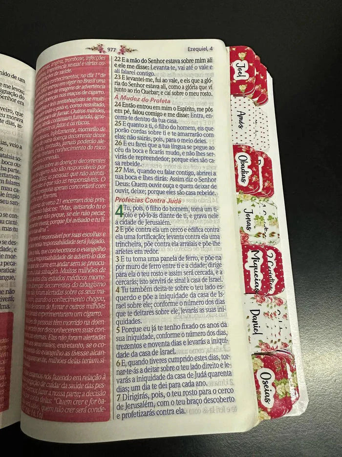 Bíblia Da Mulher Sábia Rosa - Com abas